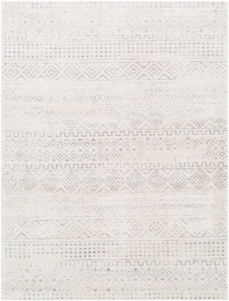 Livabliss - Roma 67inx9 Machine Woven Rug - ROM2341-679 veiw 1