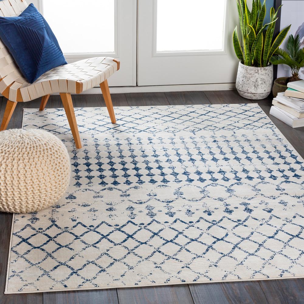 Livabliss - Roma 710inx10 Machine Woven Rug - ROM2342-71010 veiw 2