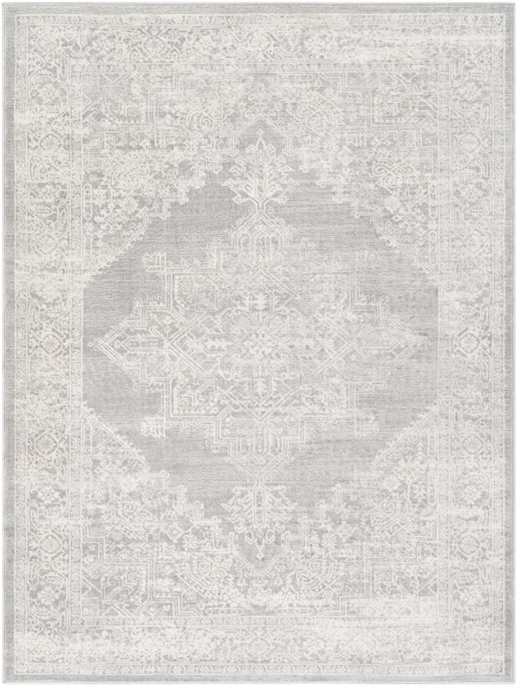 Livabliss - Roma 67inx9 Machine Woven Rug - ROM2348-679 veiw 1