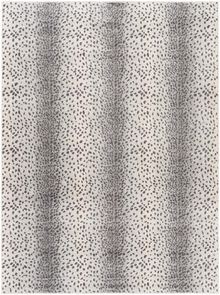 Livabliss - Roma 710inx10 Machine Woven Rug - ROM2371-71010 veiw 1