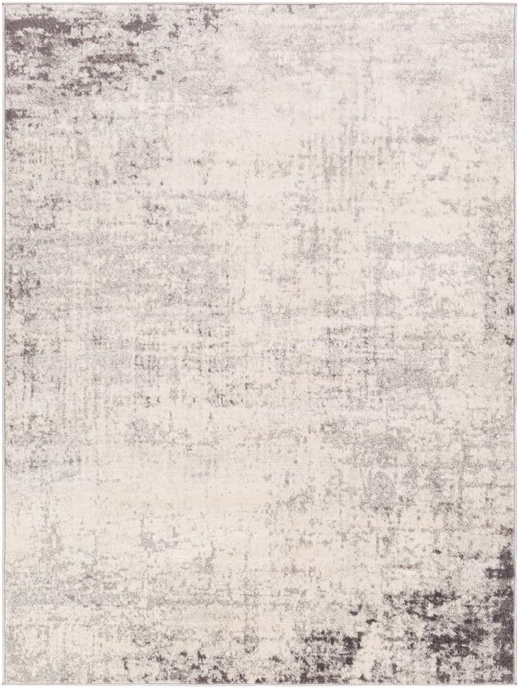Livabliss - Roma 53inx71in Machine Woven Rug - ROM2393-5371 veiw 1