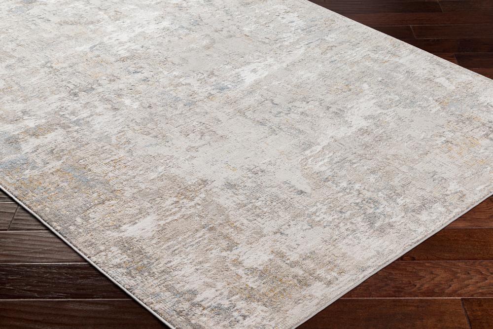 Livabliss - Roswell 710inx10 Machine Woven Rug - RSW2302-71010 veiw 3