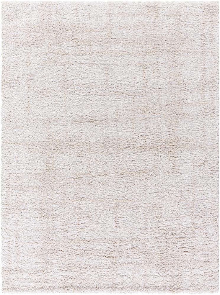 Livabliss - Sacramento Shag 53inx7 Machine Woven Rug - SCS2300-537 veiw 1