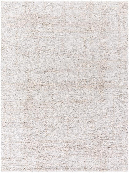 Livabliss - Sacramento Shag 53inx7 Machine Woven Rug - SCS2300-537 veiw 1