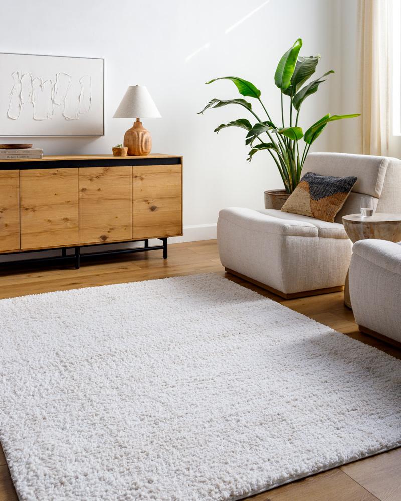 Livabliss - Sacramento Shag 53inx7 Machine Woven Rug - SCS2300-537 veiw 2