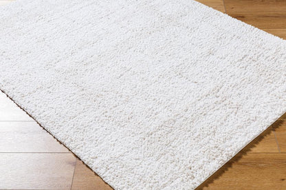 Livabliss - Sacramento Shag 53inx7 Machine Woven Rug - SCS2300-537 veiw 3