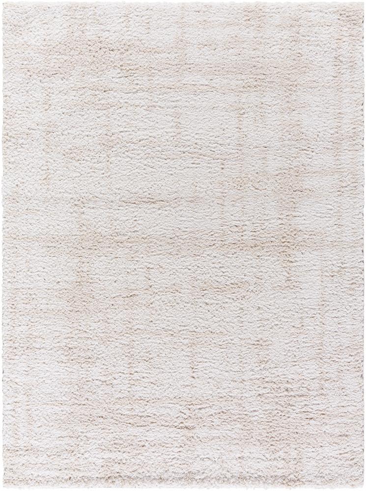 Livabliss - Sacramento Shag 710inx10 Machine Woven Rug - SCS2300-71010 veiw 1