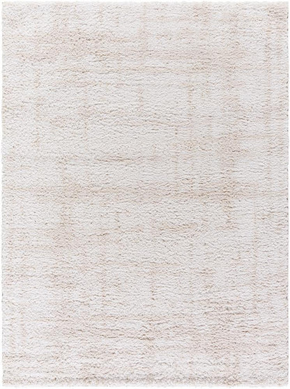 Livabliss - Sacramento Shag 710inx10 Machine Woven Rug - SCS2300-71010 veiw 1