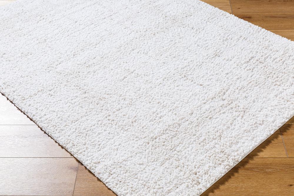 Livabliss - Sacramento Shag 710inx10 Machine Woven Rug - SCS2300-71010 veiw 3