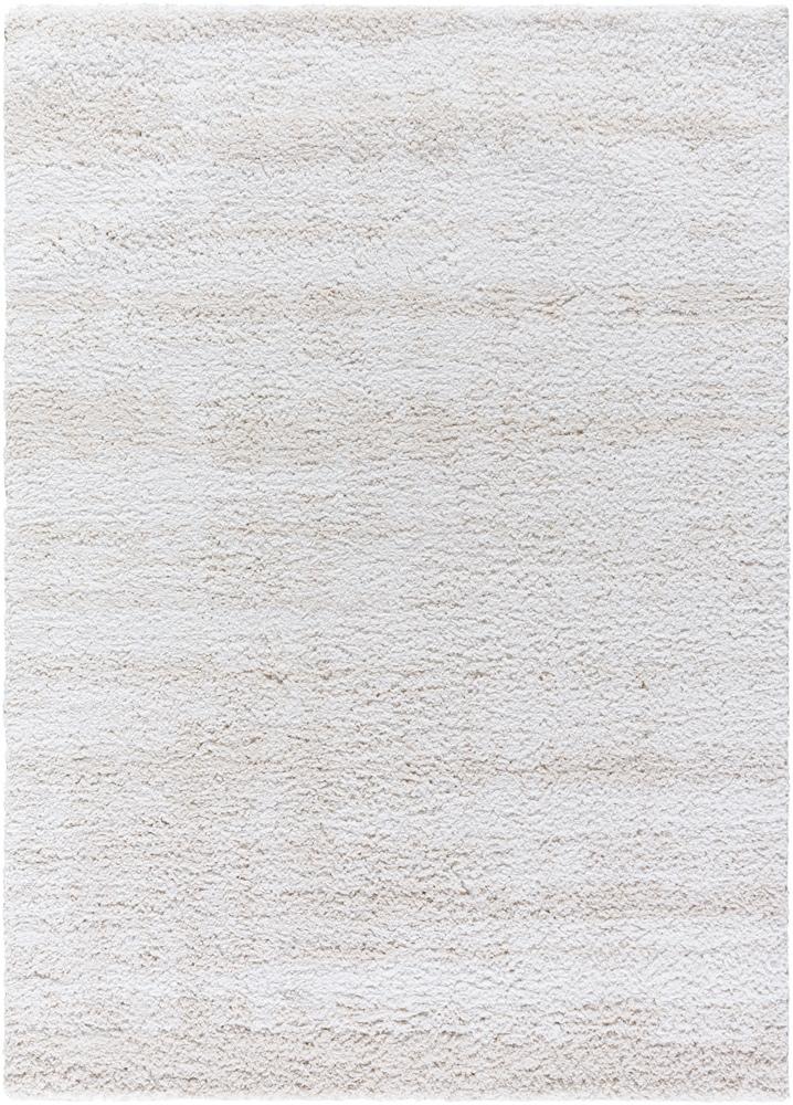 Livabliss - Sacramento Shag 53inx7 Machine Woven Rug - SCS2301-537 veiw 1