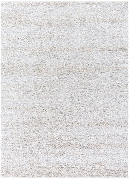 Livabliss - Sacramento Shag 53inx7 Machine Woven Rug - SCS2301-537 veiw 1