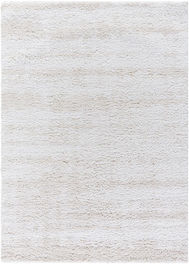 Livabliss - Sacramento Shag 710inx10 Machine Woven Rug - SCS2301-71010 veiw 1