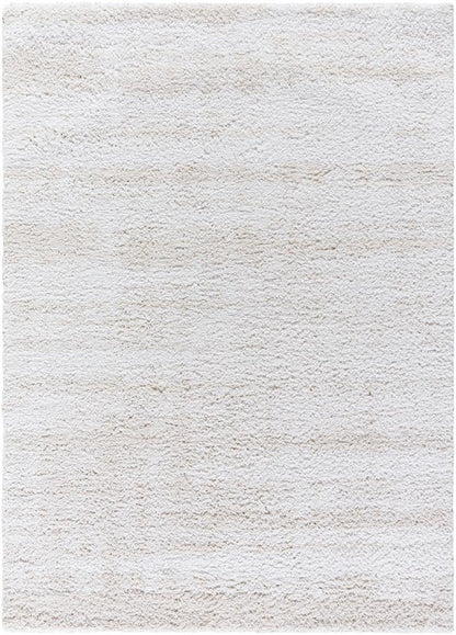 Livabliss - Sacramento Shag 710inx10 Machine Woven Rug - SCS2301-71010 veiw 1