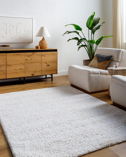 Livabliss - Sacramento Shag 710inx10 Machine Woven Rug - SCS2301-71010 veiw 2
