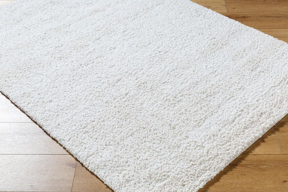 Livabliss - Sacramento Shag 710inx10 Machine Woven Rug - SCS2301-71010 veiw 3