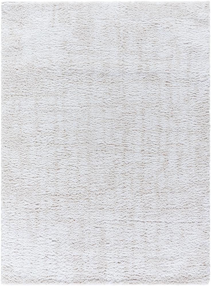 Livabliss - Sacramento Shag 53inx7 Machine Woven Rug - SCS2302-537 veiw 1