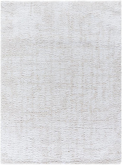 Livabliss - Sacramento Shag 53inx7 Machine Woven Rug - SCS2302-537 veiw 1