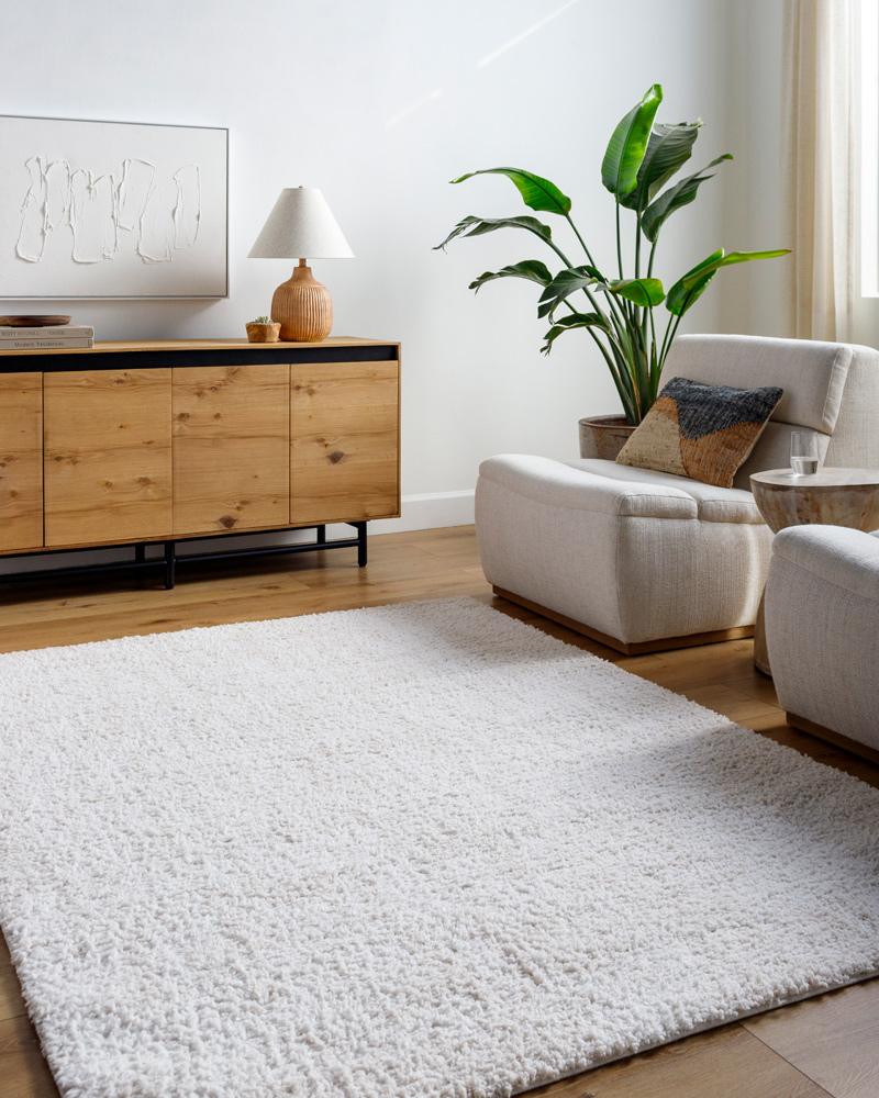 Livabliss - Sacramento Shag 53inx7 Machine Woven Rug - SCS2302-537 veiw 2