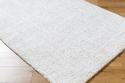 Livabliss - Sacramento Shag 53inx7 Machine Woven Rug - SCS2302-537 veiw 3