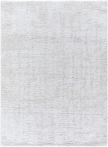 Livabliss - Sacramento Shag 710inx10 Machine Woven Rug - SCS2302-71010 veiw 1