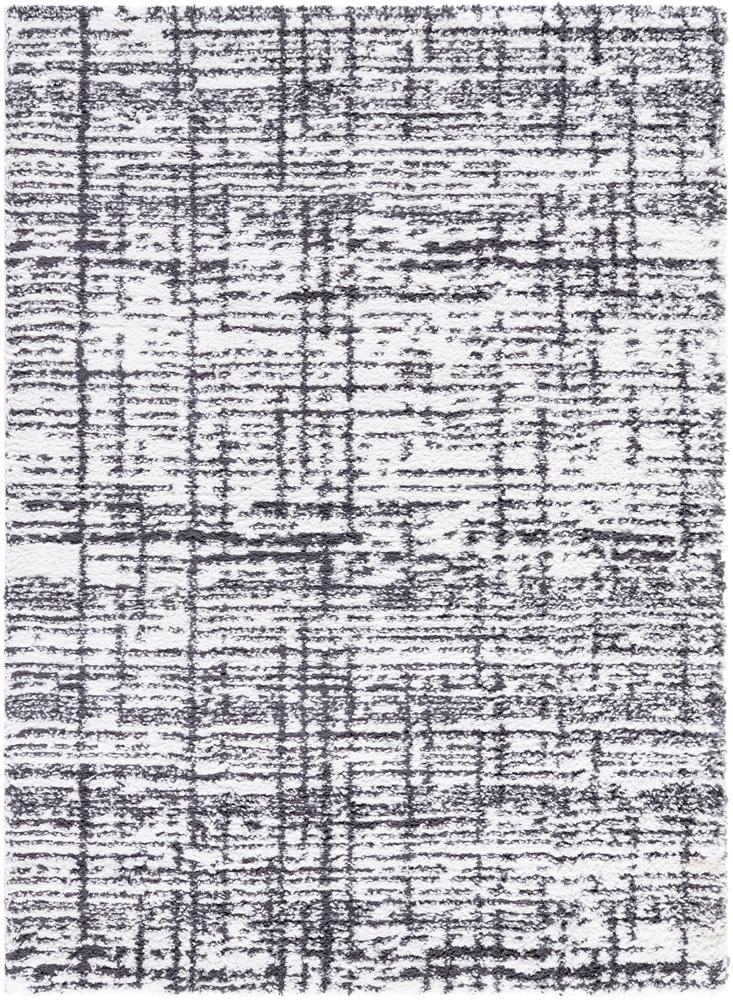 Livabliss - Sacramento Shag 53inx7 Machine Woven Rug - SCS2304-537 veiw 1