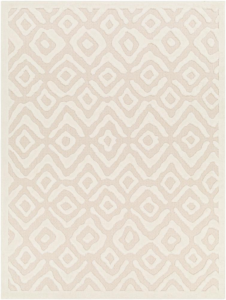 Livabliss - San Diego 67inx9 Machine Woven Rug - SFG2314-679_CLOSEOUT veiw 1