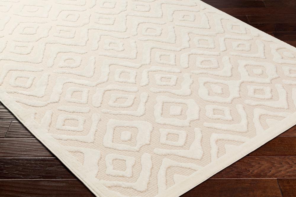 Livabliss - San Diego 67inx9 Machine Woven Rug - SFG2314-679_CLOSEOUT veiw 3
