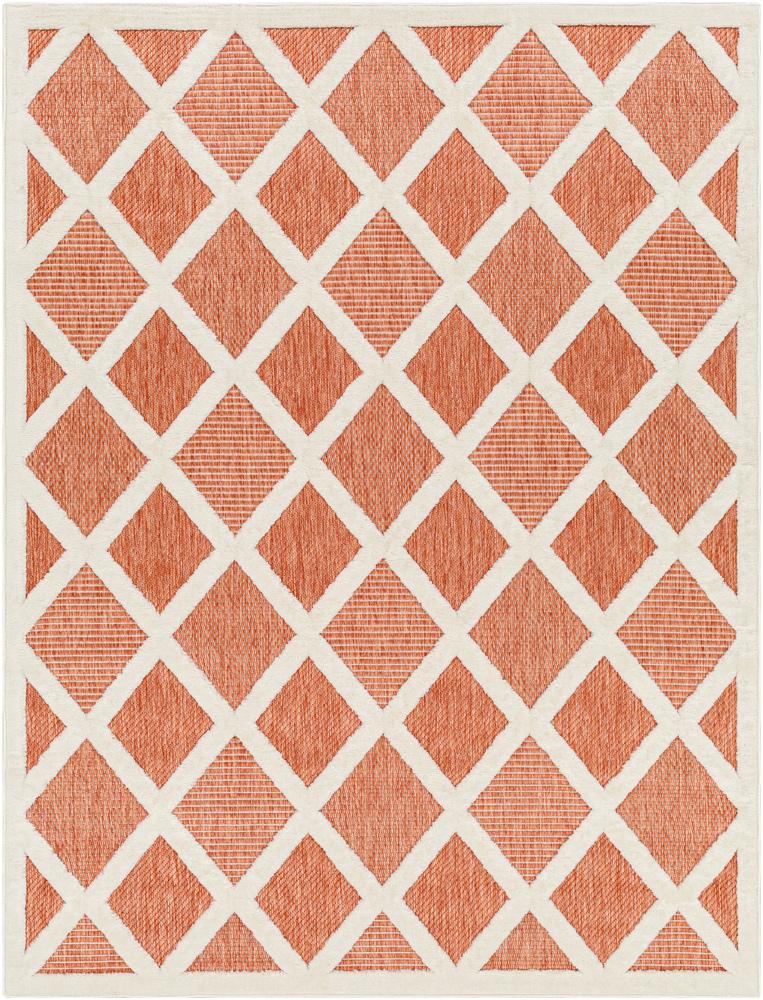 Livabliss - San Diego 53inx7 Machine Woven Rug - SFG2316-537_CLOSEOUT veiw 1