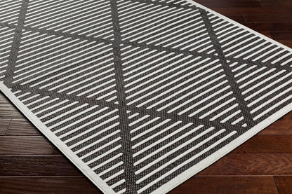 Livabliss - San Diego 67inx9 Machine Woven Rug - SFG2317-679_CLOSEOUT veiw 2