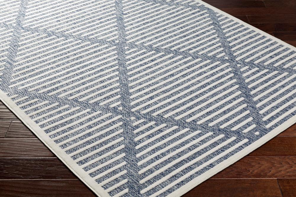 Livabliss - San Diego 53inx7 Machine Woven Rug - SFG2320-537 veiw 3