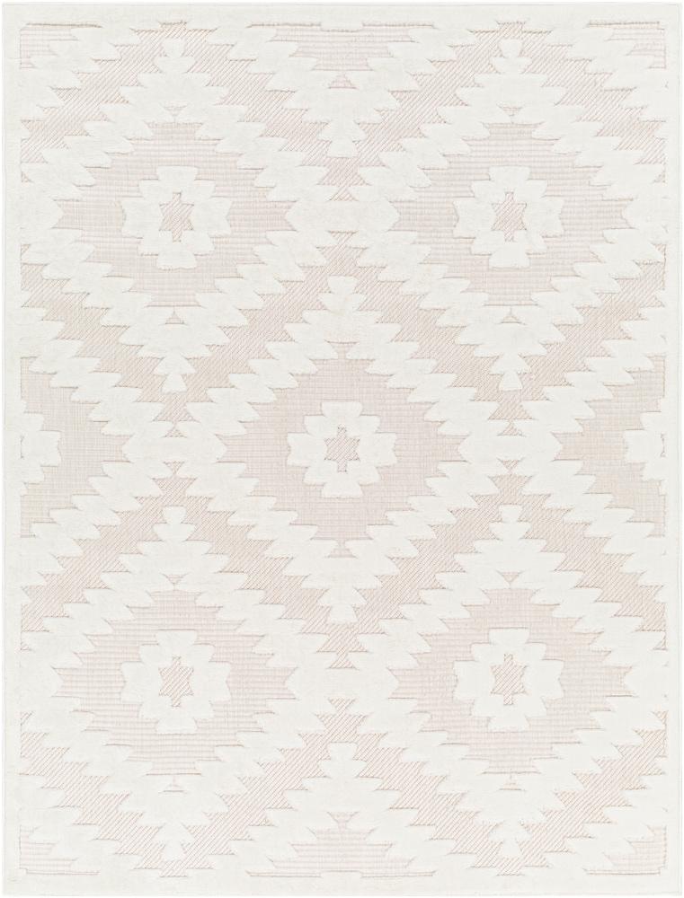 Livabliss - San Diego 67inx9 Machine Woven Rug - SFG2321-679_CLOSEOUT veiw 1