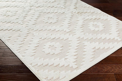 Livabliss - San Diego 67inx9 Machine Woven Rug - SFG2321-679_CLOSEOUT veiw 3
