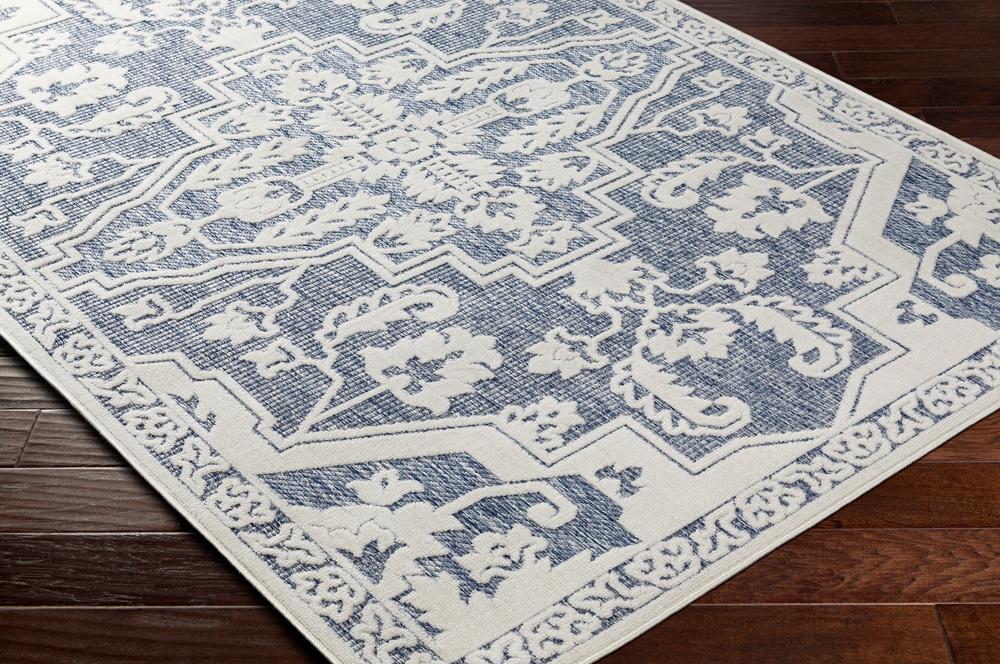 Livabliss - San Diego 53inx7 Machine Woven Rug - SFG2338-537_CLOSEOUT veiw 2
