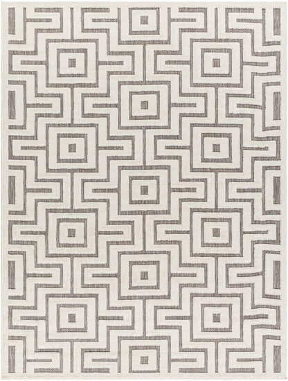 Livabliss - San Diego 53inx7 Machine Woven Rug - SFG2347-537_CLOSEOUT veiw 1