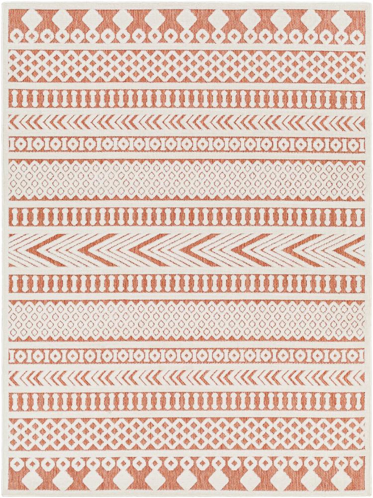 Livabliss - San Diego 67inx9 Machine Woven Rug - SFG2350-679_CLOSEOUT veiw 1