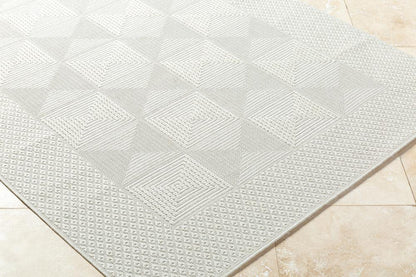 Livabliss - Sandra 67inx9 Machine Woven Rug - SDR2307-679 veiw 3