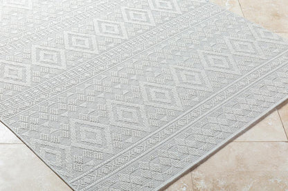 Livabliss - Sandra 53inx7 Machine Woven Rug - SDR2310-537 veiw 3