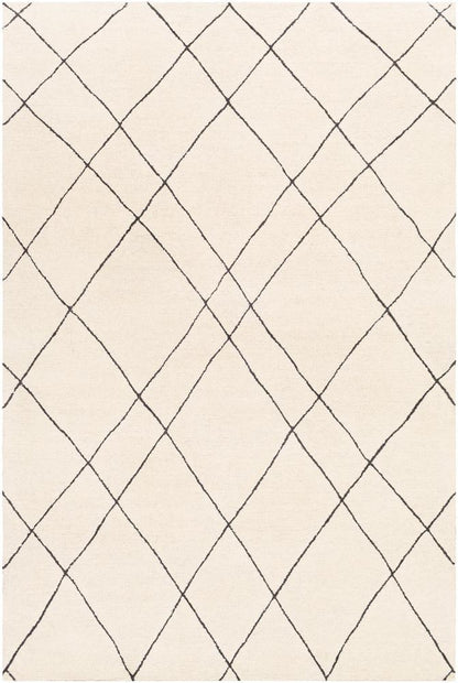 Livabliss - Sinop 6x9 Handmade Rug - SNP2304-69 veiw 1