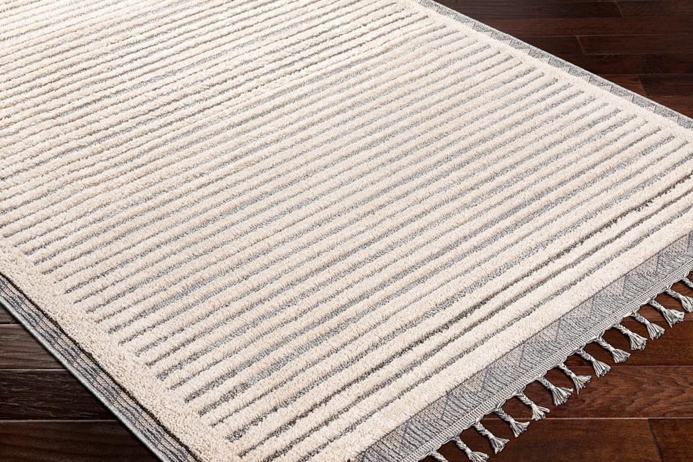Livabliss - Sousse 42inx57in Machine Woven Rug - SUS2302-4257_CLOSEOUT veiw 3