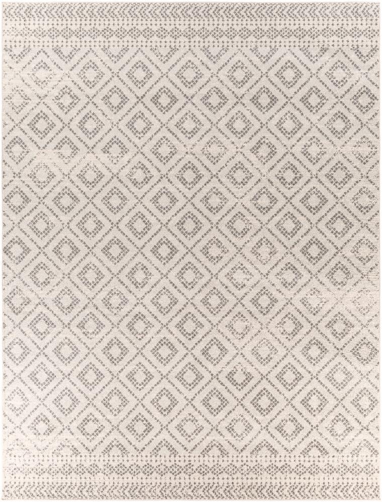 Livabliss - Sunderland 710inx102in Machine Woven Rug - SUN2301-710103 veiw 1