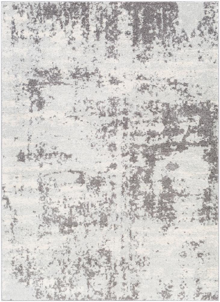 Livabliss - Sunderland 67inx9 Machine Woven Rug - SUN2318-679 veiw 1