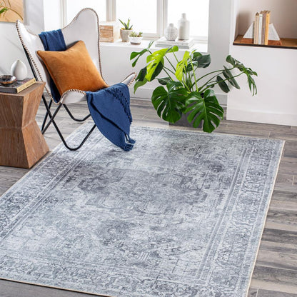 Livabliss - Tahmis 53inx73in Machine Woven Rug - THI2710-5373 veiw 2