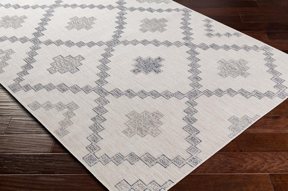 Livabliss - Tuareg 67inx9 Machine Woven Rug - TRG2324-679_CLOSEOUT veiw 3