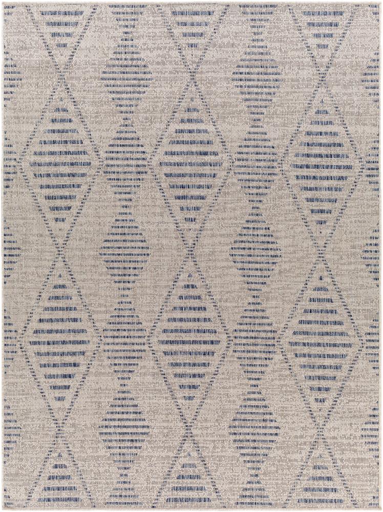 Livabliss - Tuareg 67inx9 Machine Woven Rug - TRG2349-679_CLOSEOUT veiw 1