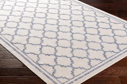 Livabliss - Tuareg 92inx12 Machine Woven Rug - TRG2375-9212_CLOSEOUT veiw 3