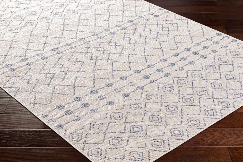 Livabliss - Tuareg 67inx9 Machine Woven Rug - TRG2387-679_CLOSEOUT veiw 3