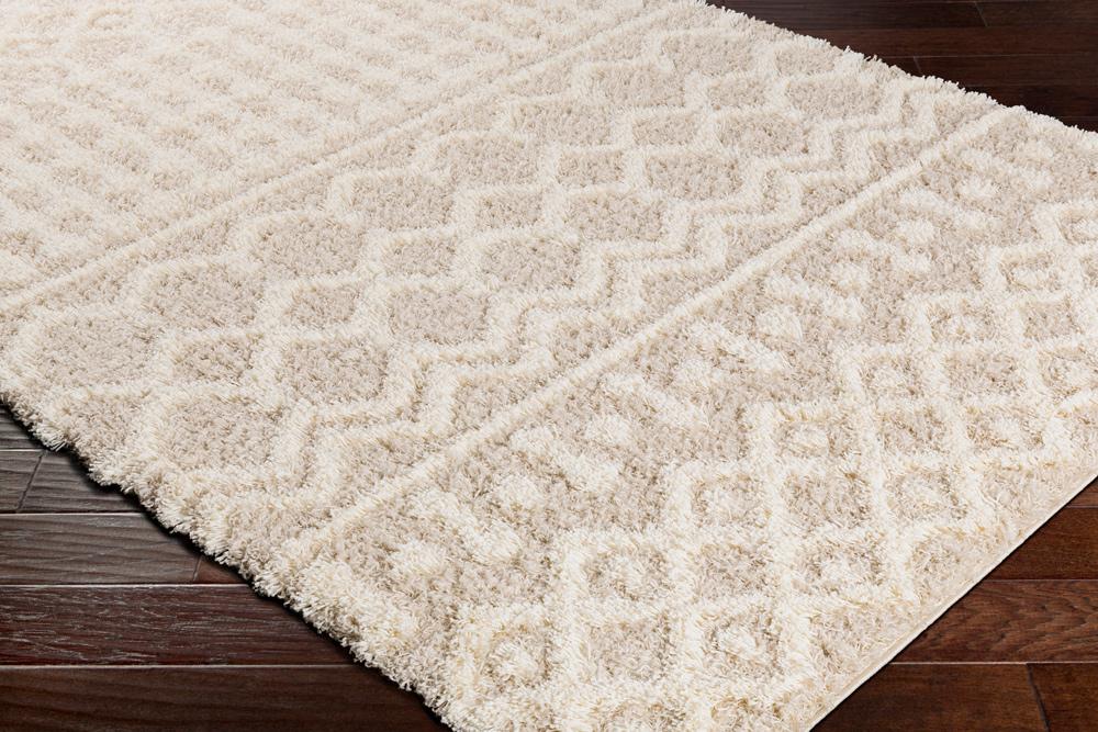 Livabliss - Urban Shag 43inx57in Machine Woven Rug - USG2303-4357 veiw 3