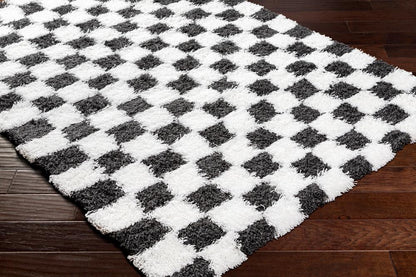 Livabliss - Urban Shag 67inx96in Machine Woven Rug - USG2330-6796 veiw 3