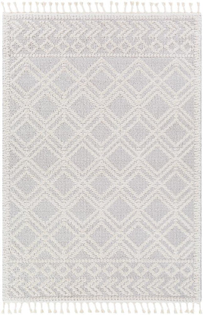 Livabliss - Valencia 2x211in Machine Woven Rug - VLC2315-23 veiw 1