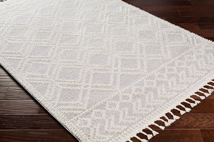 Livabliss - Valencia 53inx7 Machine Woven Rug - VLC2315-537 veiw 3